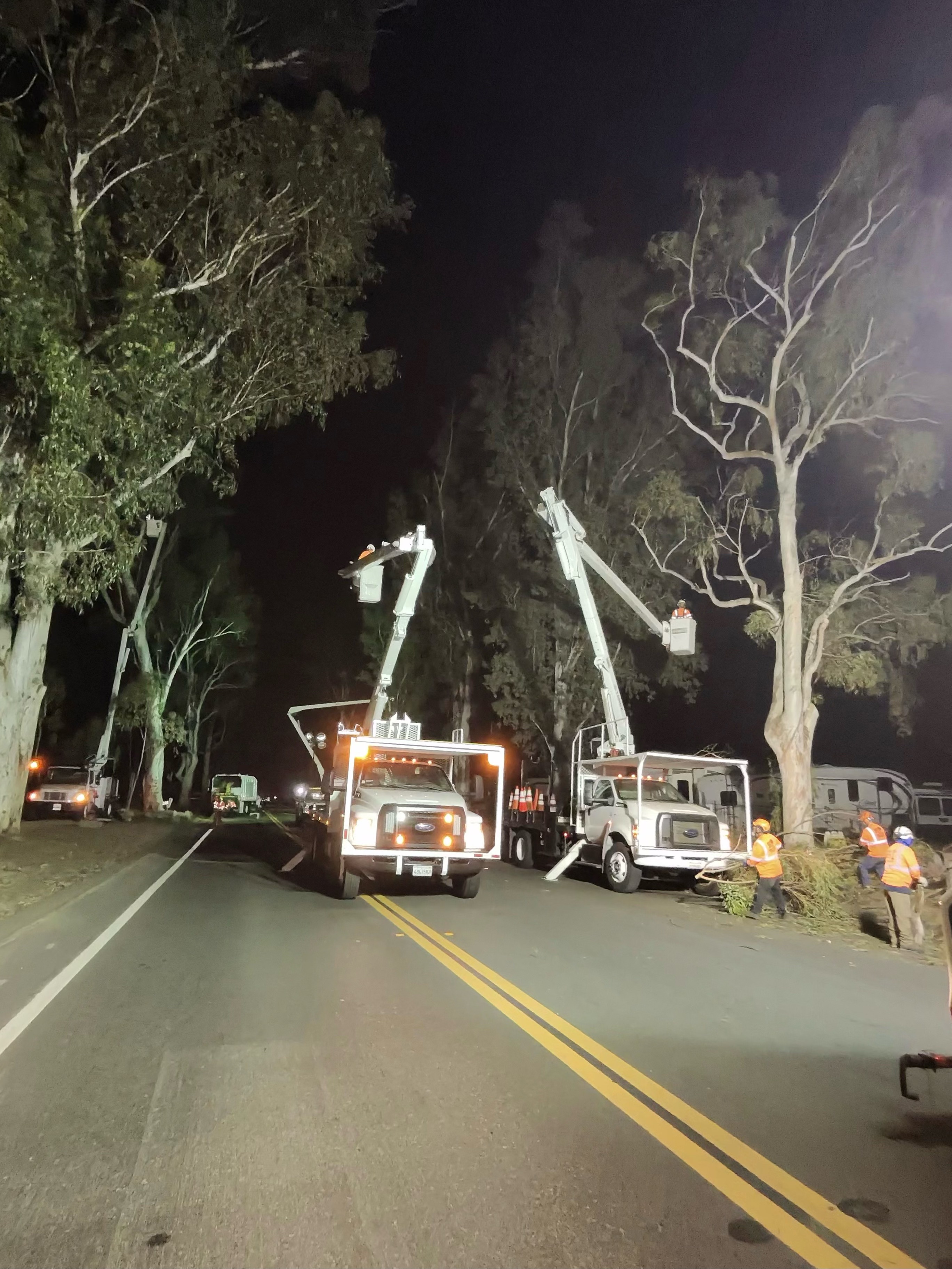 Tiger Tree Services crew responding to a nighttime tree emergency with two bucket trucks on a California road
