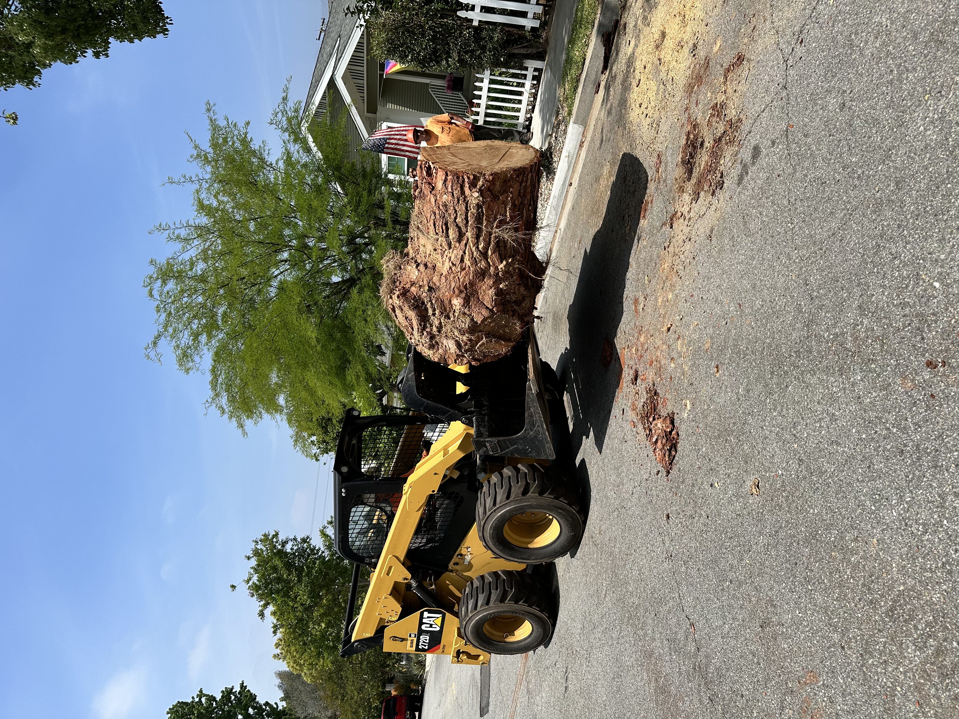 Tiger Tree Services CAT heavy equipment performing large stump removal and grinding at a California job site
