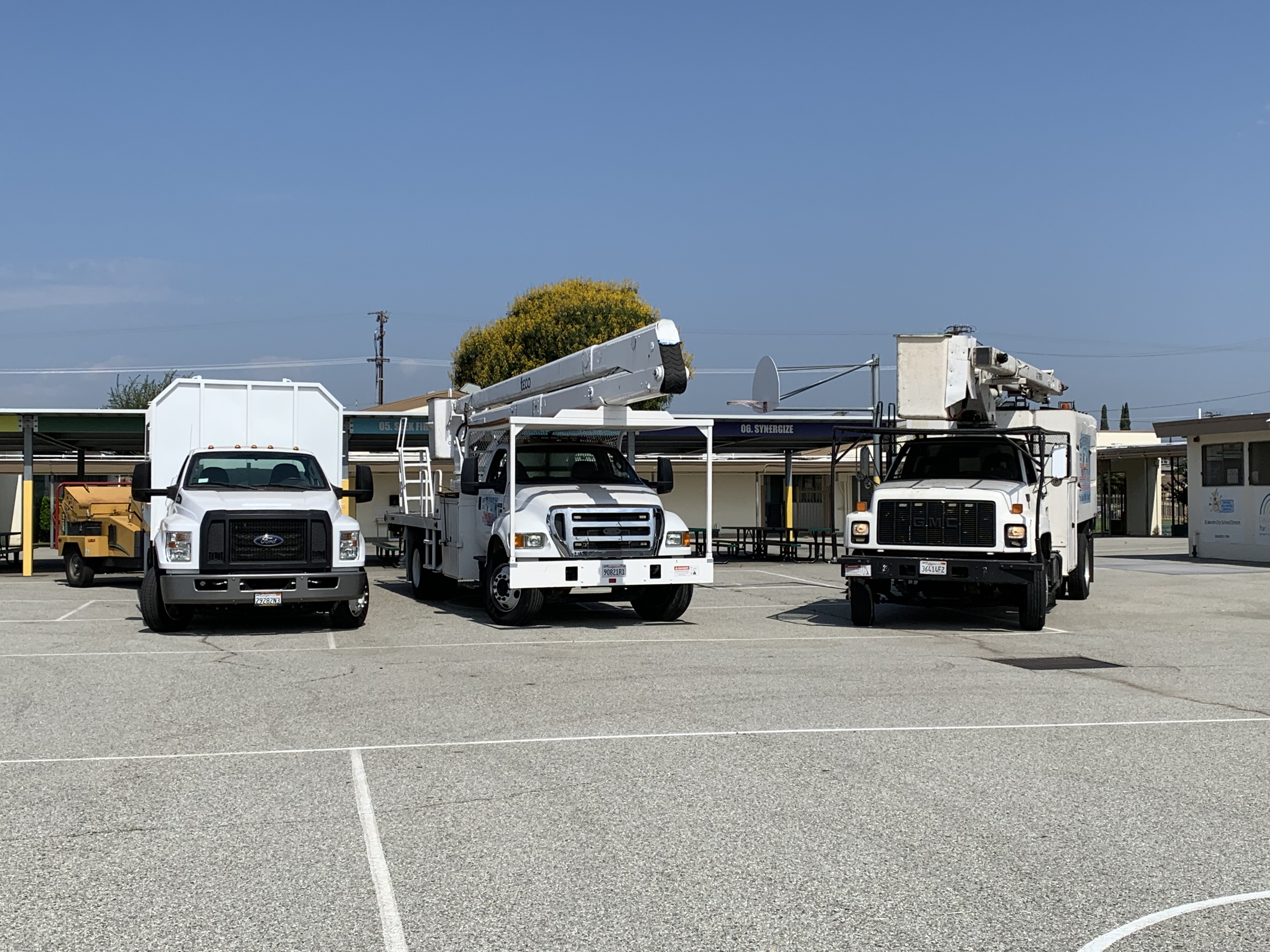 Tiger Tree Services aerial truck in operation