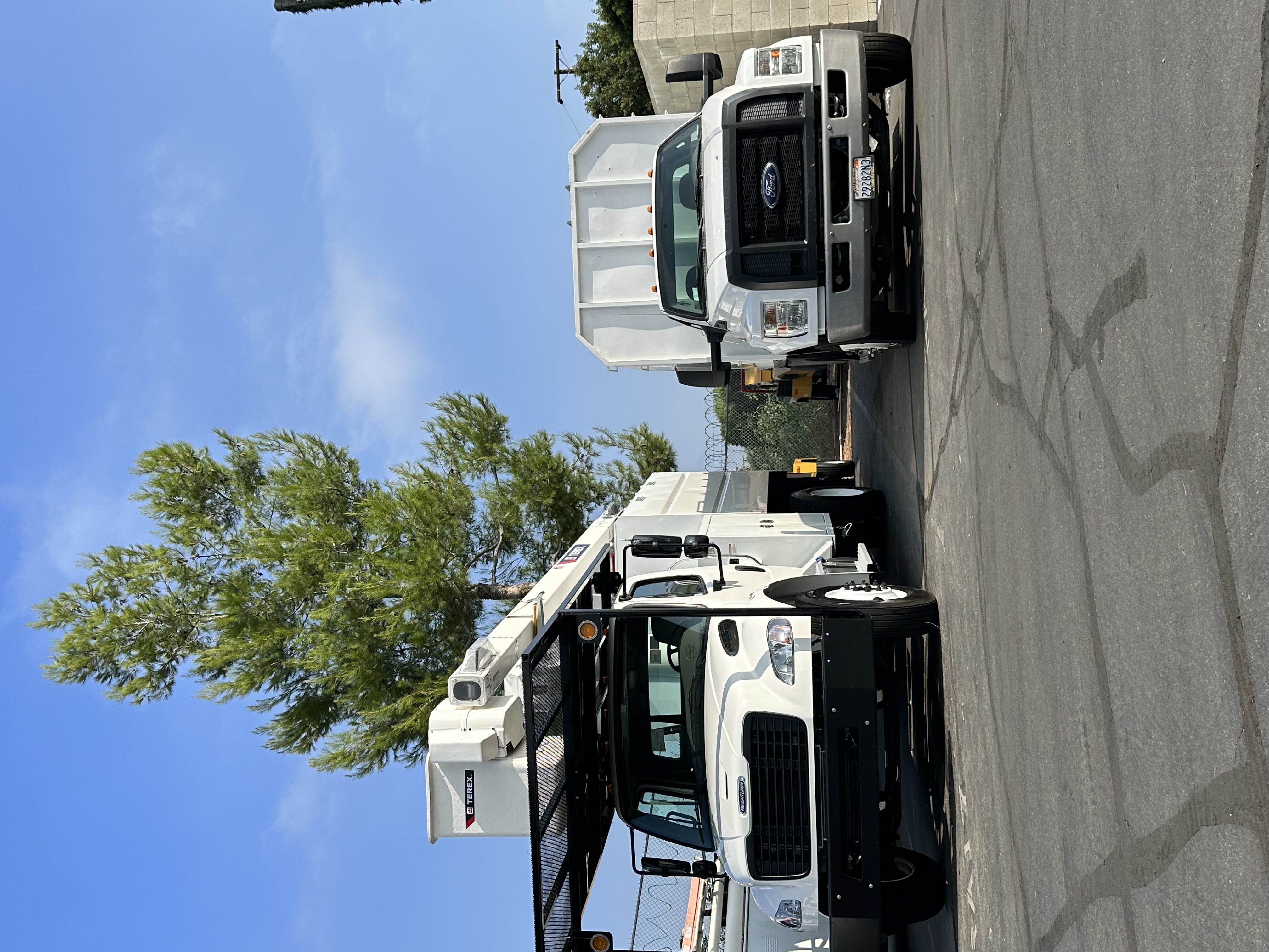 Tiger Tree Services aerial bucket lift in use