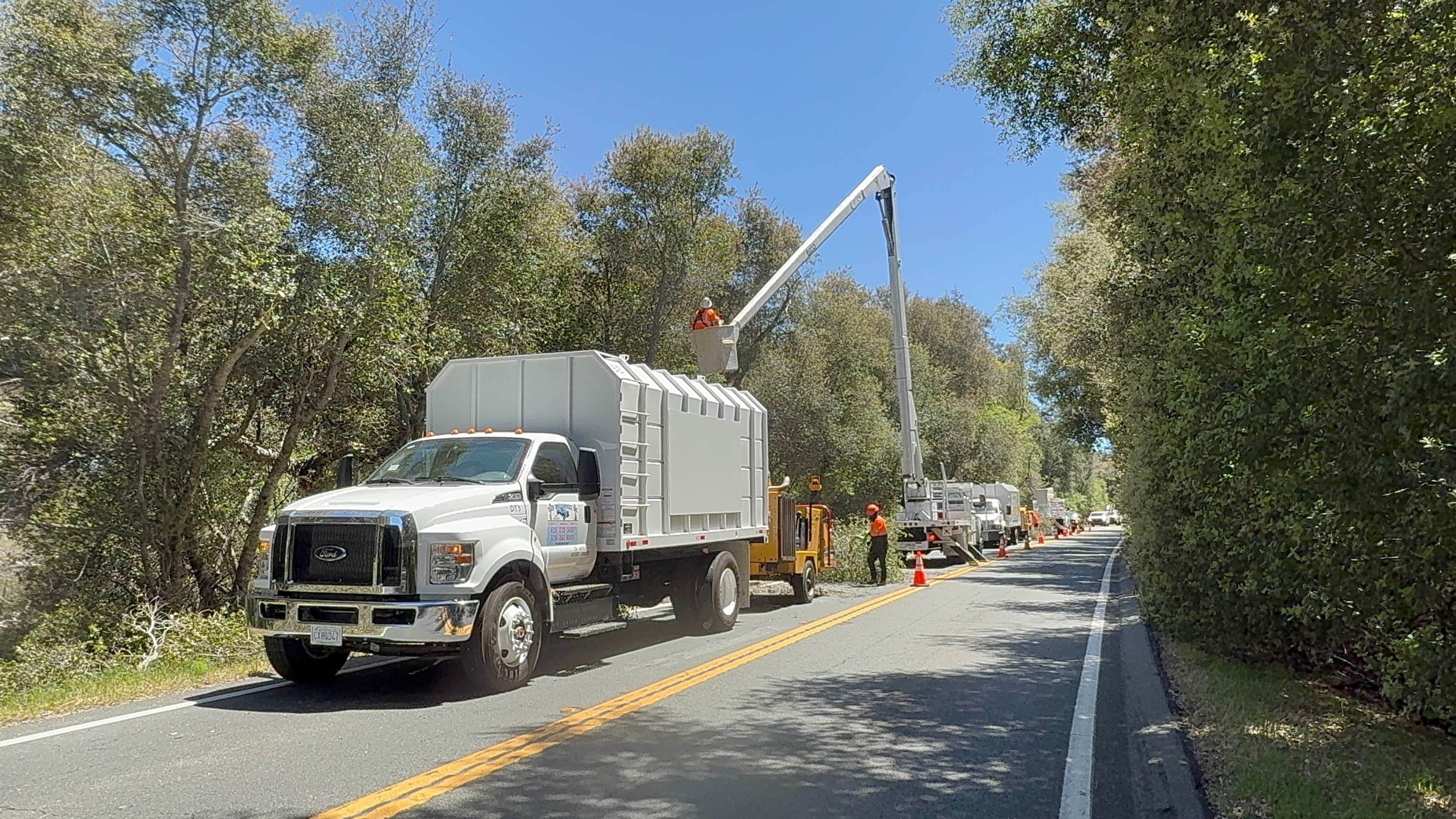 Tiger Tree Services crew performing fuel reduction and brush clearance on a CAL FIRE contract in Southern California
