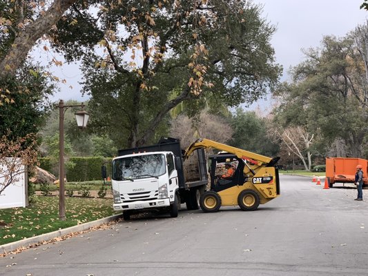 Tiger Tree Services CAT skid steer loading tree debris at a City of El Monte municipal tree removal contract