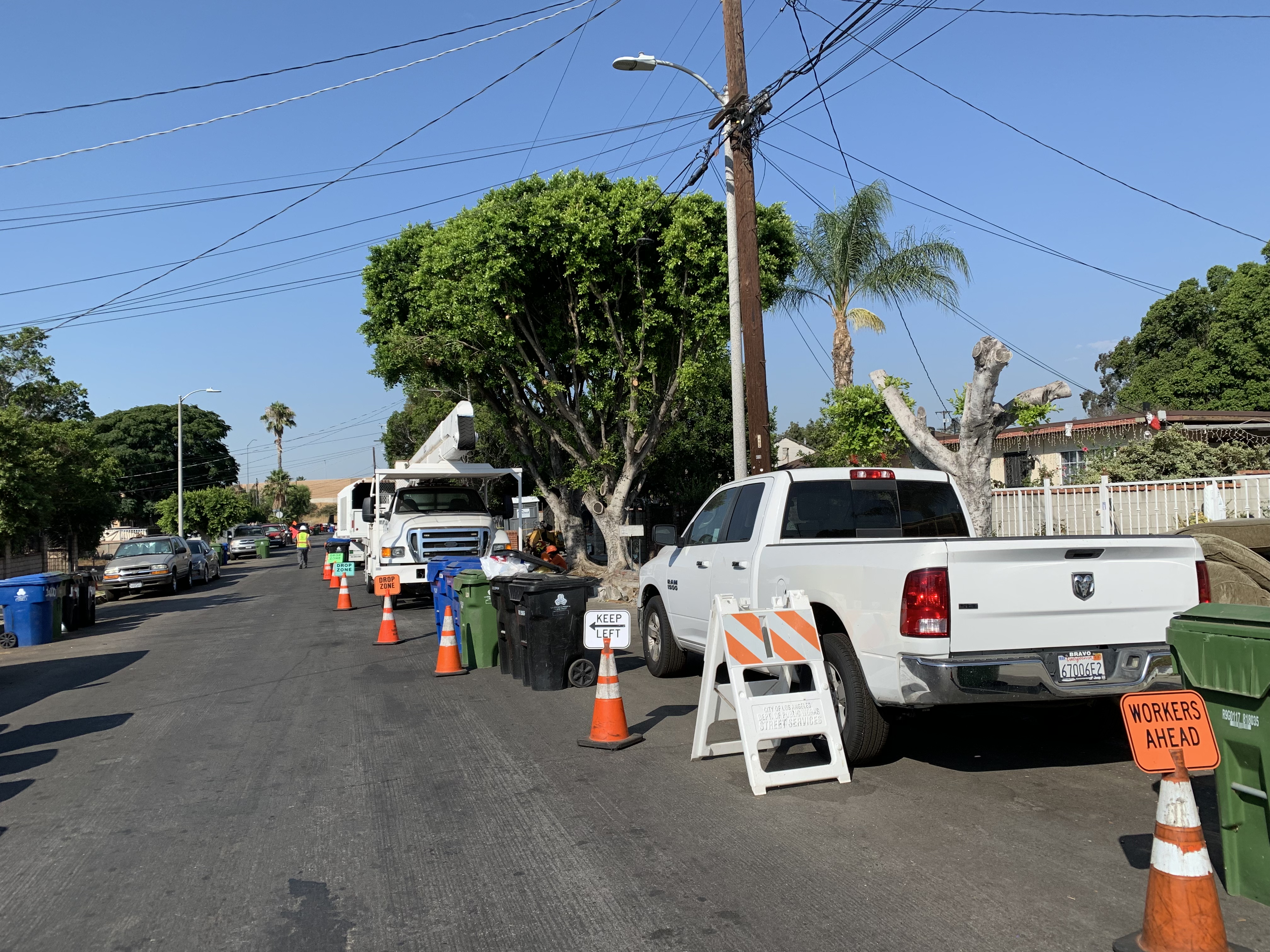 Tiger Tree Services crew completing a tree removal and debris cleanup contract for the County of Los Angeles