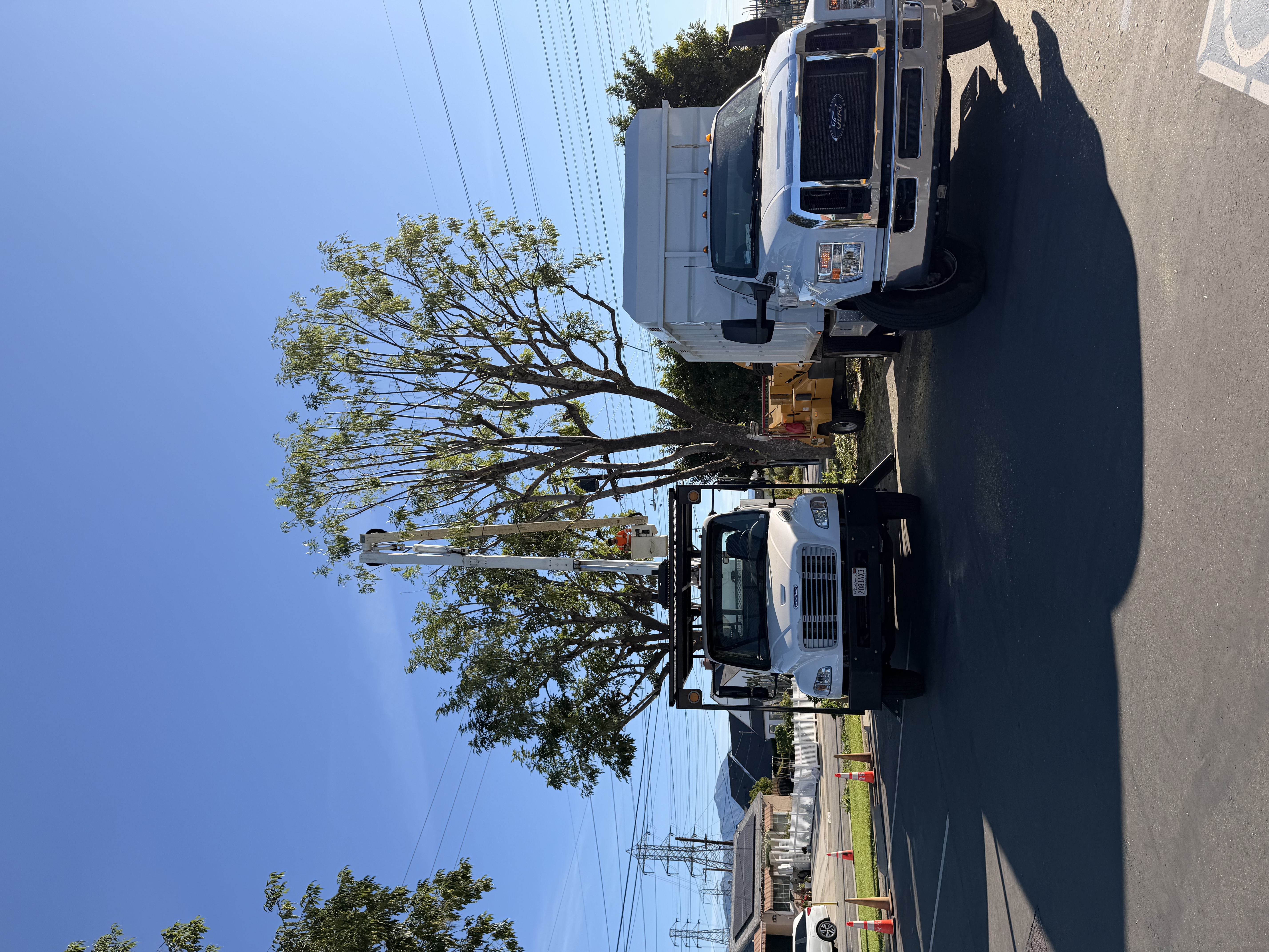 Tiger Tree Services Freightliner bucket truck and Ford F-750 chip truck at a residential commercial tree job in California