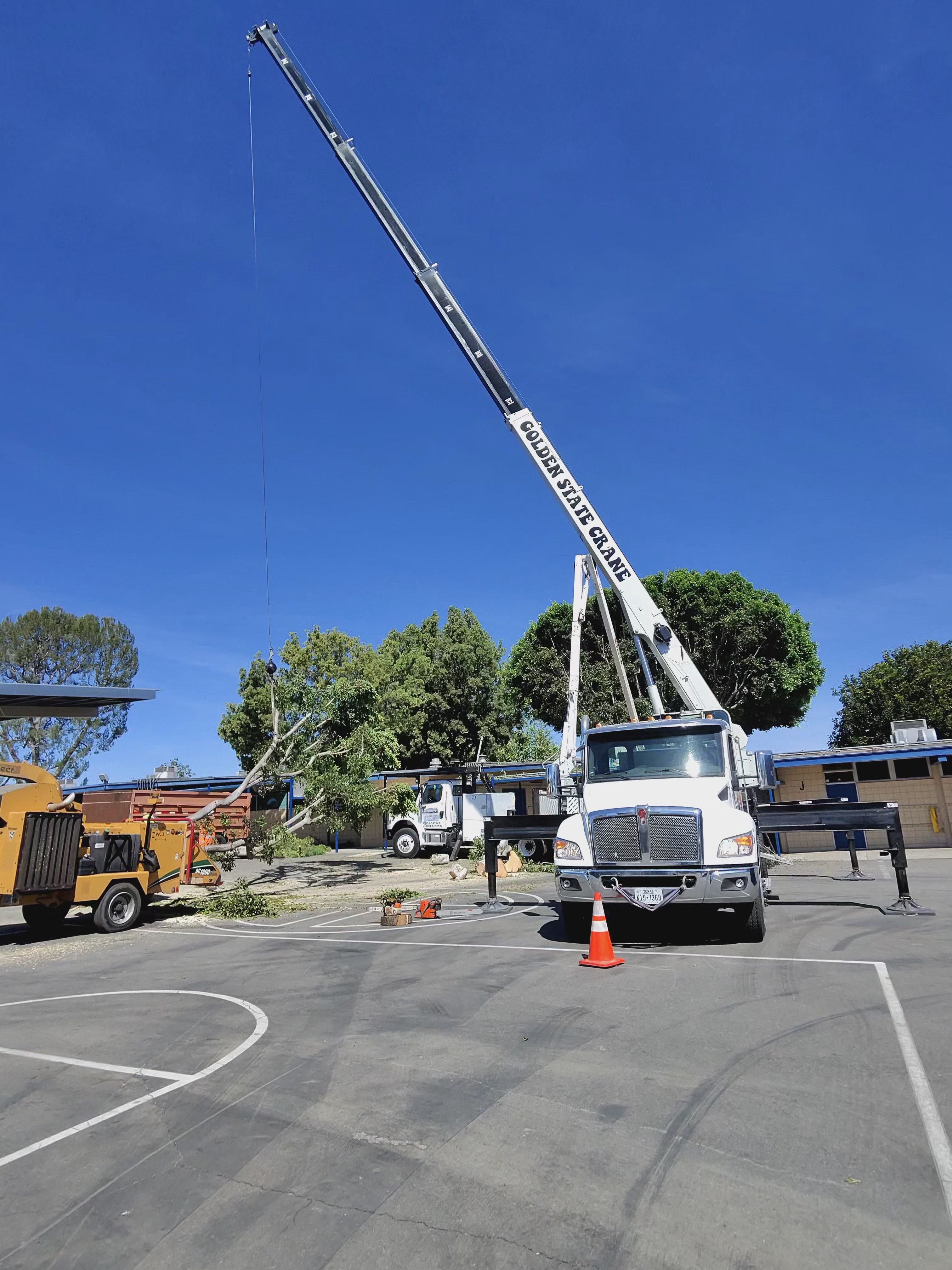 Tiger Tree Services coordinating a Golden State Crane with bucket truck for large tree removal at a California school