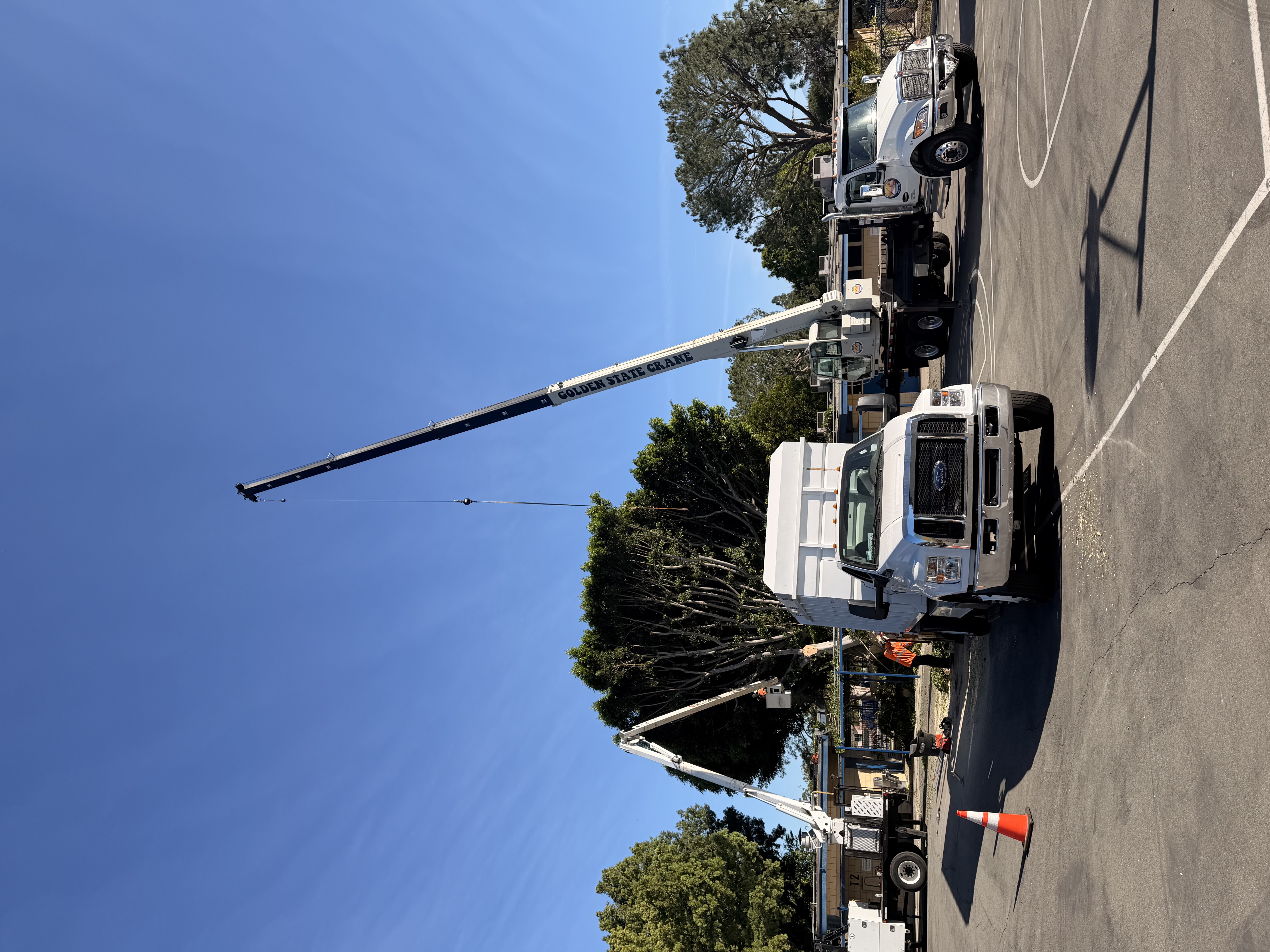 Tiger Tree Services Ford F-750 chip truck and large crane working on a major tree removal at a California school campus