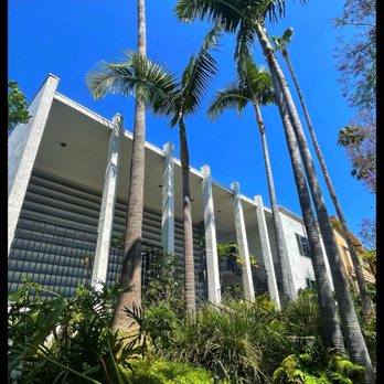 Storm-damaged trees assessed by Tiger Tree Services ISA-certified arborist for hazard risk in a California residential area