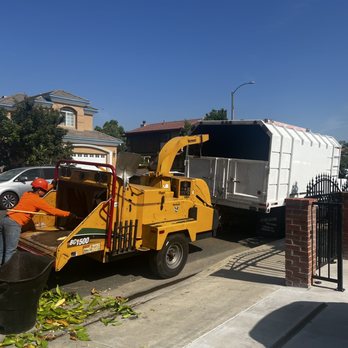 Tiger Tree Services wood chipper shredding tree debris on a residential cleanup job in Southern California